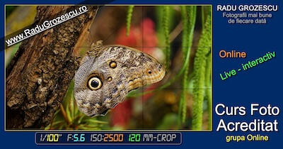 Curs Foto Acreditat online Curs Foto Acreditat online