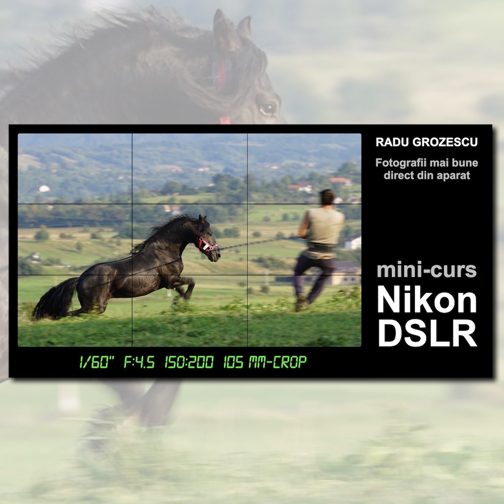 Nikon DSLR mini curs
